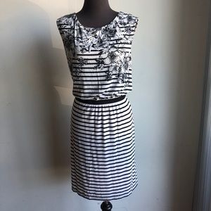 Loft sz M floral stripe cute dress